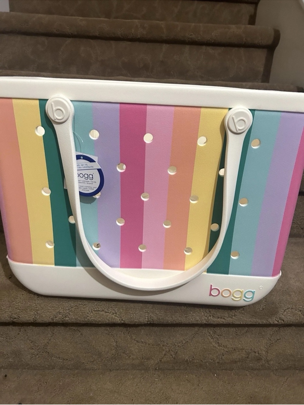 NWT LARGE COLOR BURST BOGG BAG